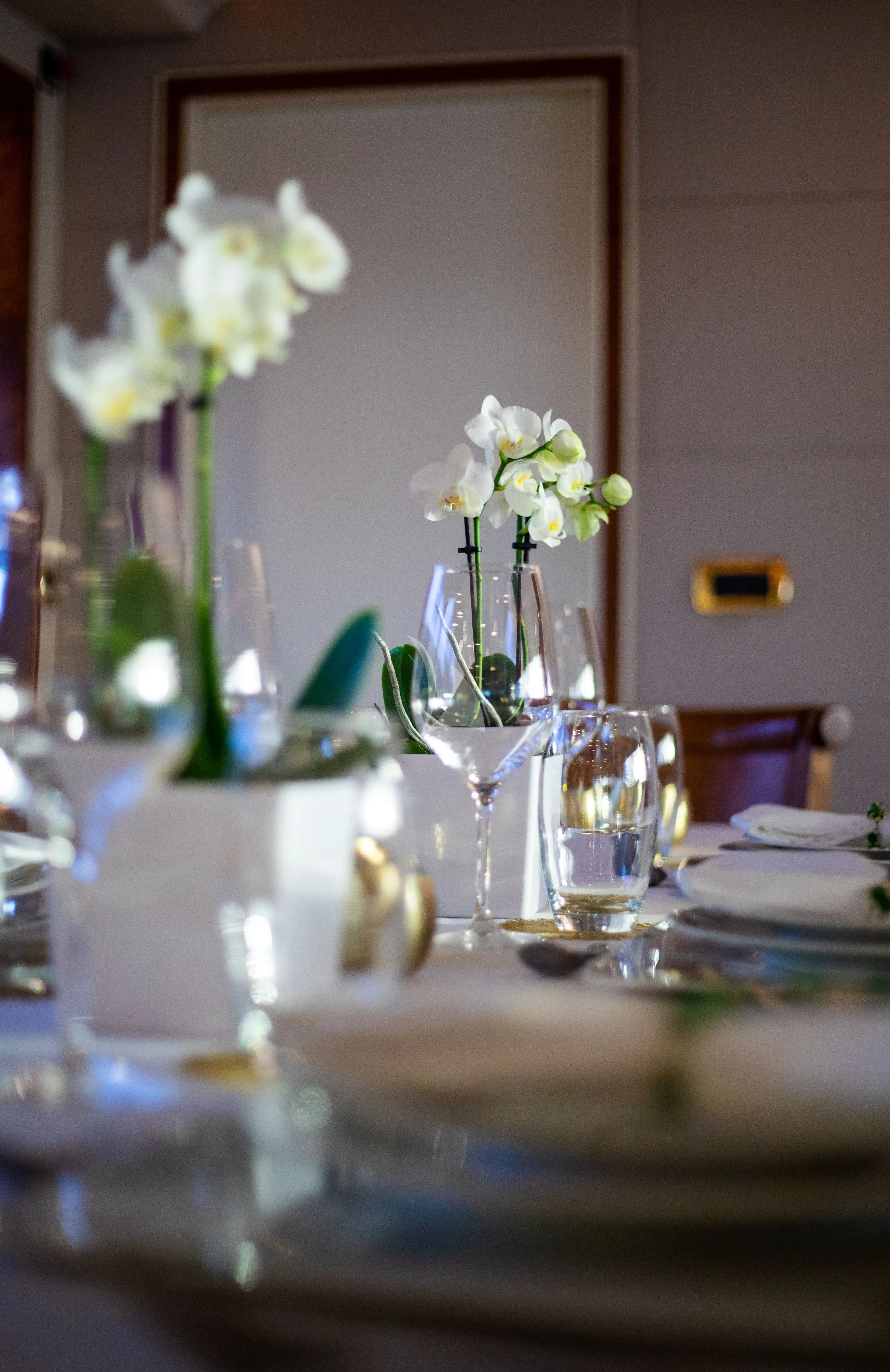 VIKING III - lifestyle 8