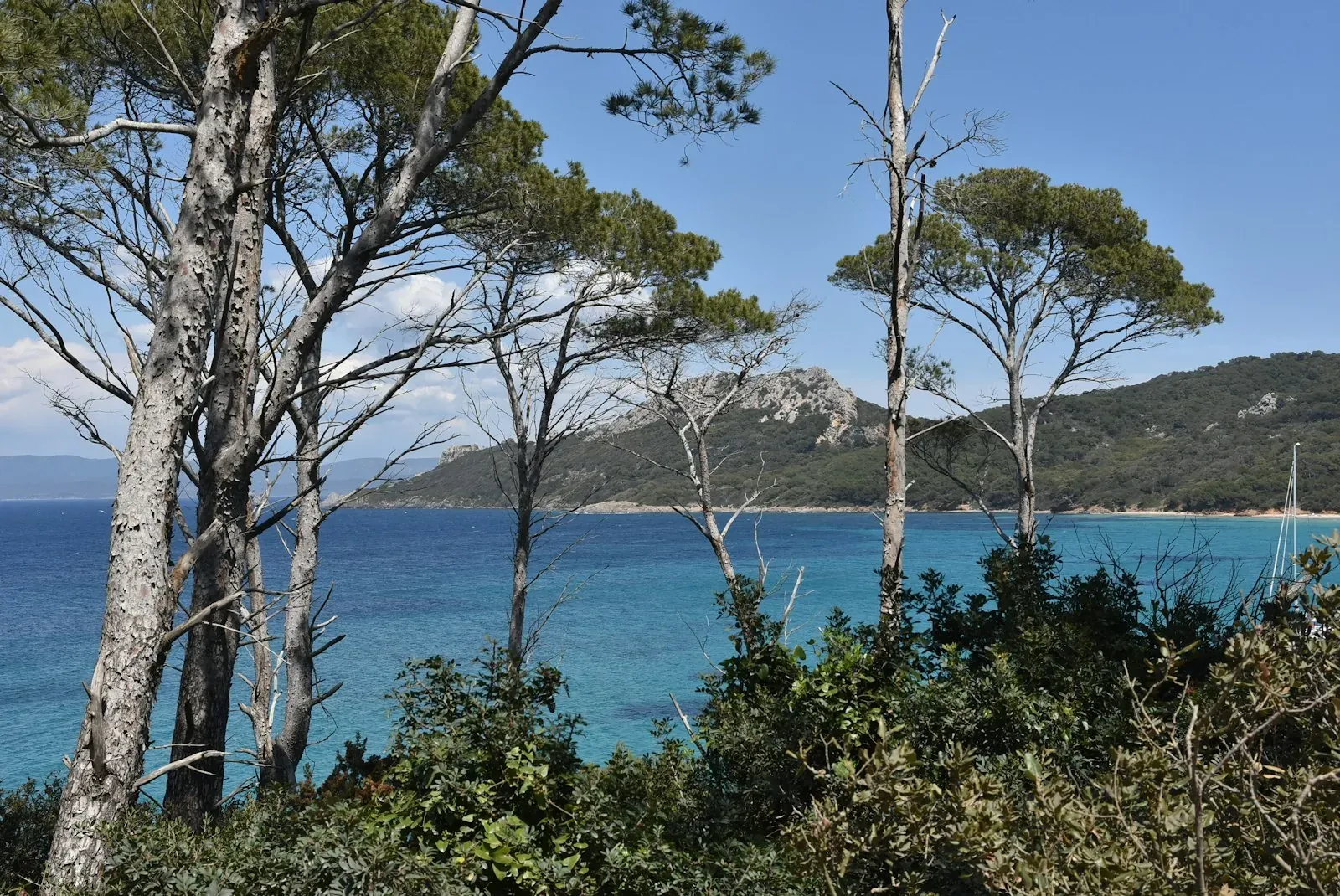 Porquerolles, Îles d'Hyères — Riviera · Italy · Corsica Loop