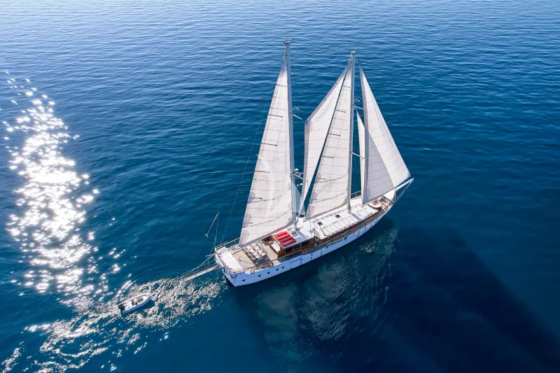 WHITE PEARL - exterior 3