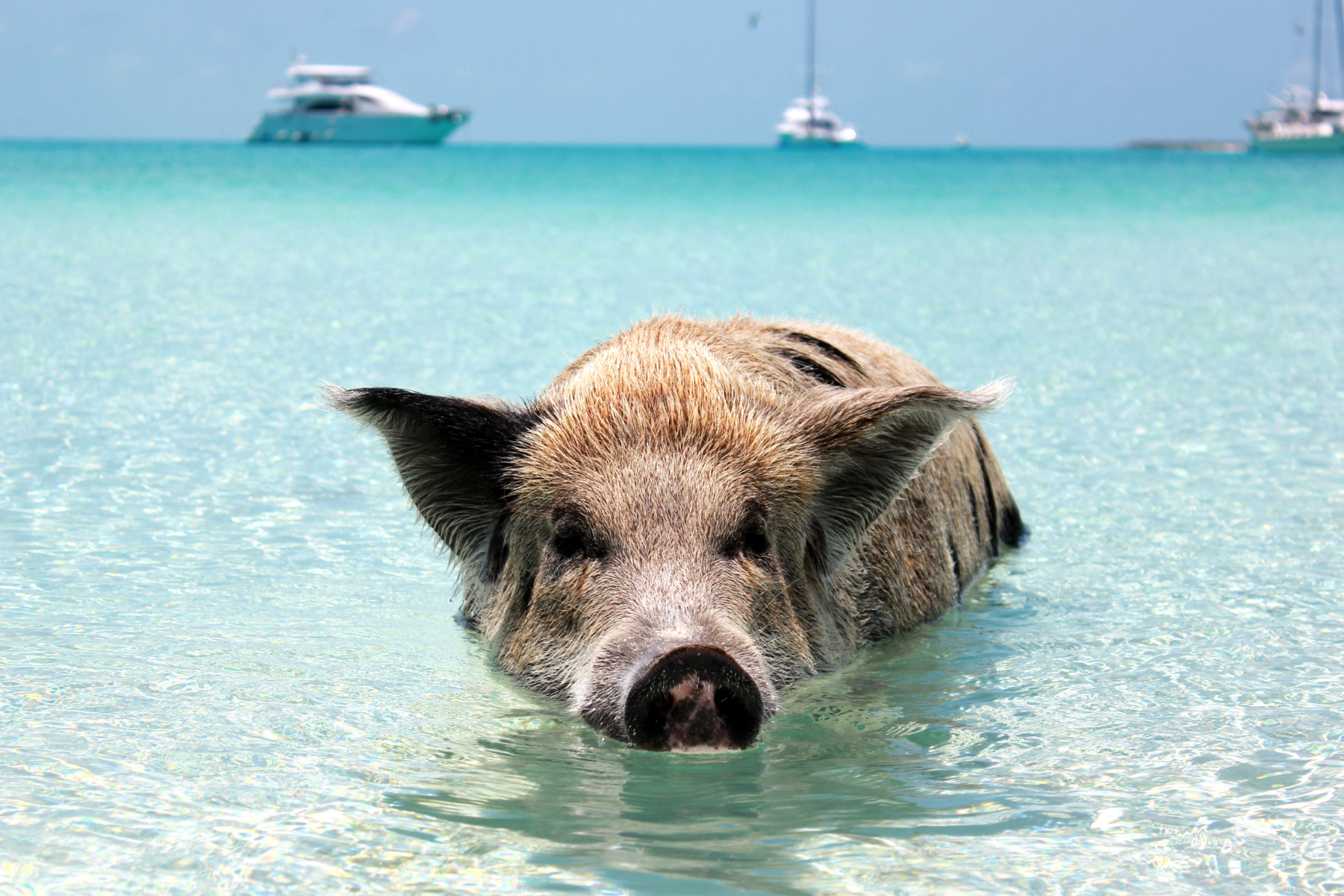 The Bahamas, Caribbean