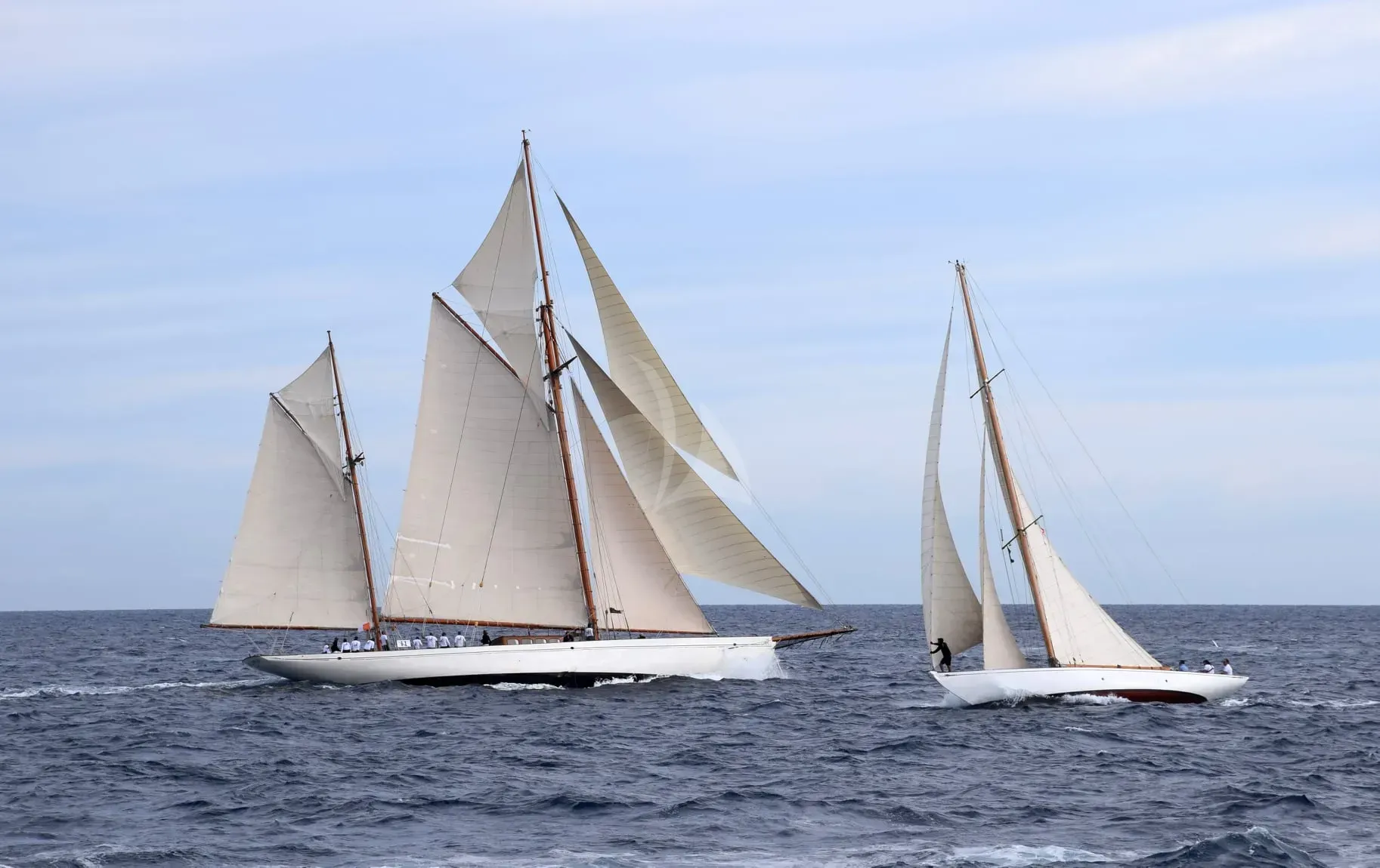 Black Swan - photo 11