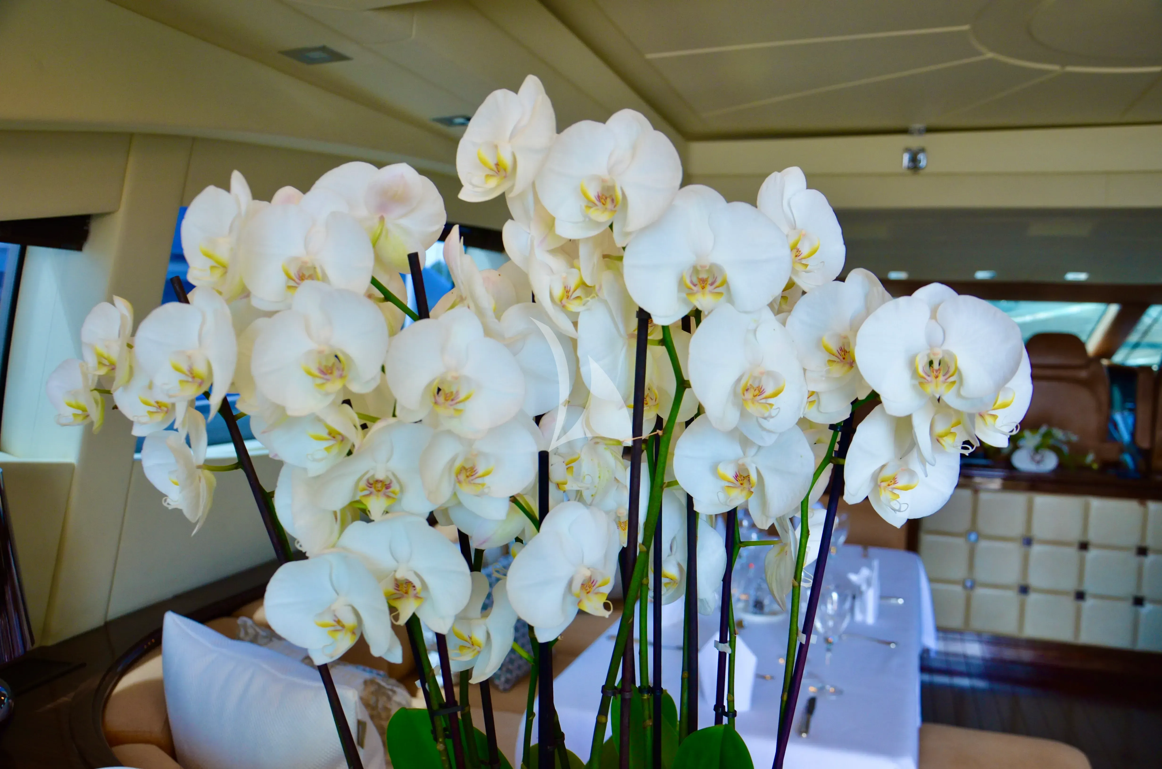 Orion I - lifestyle 7