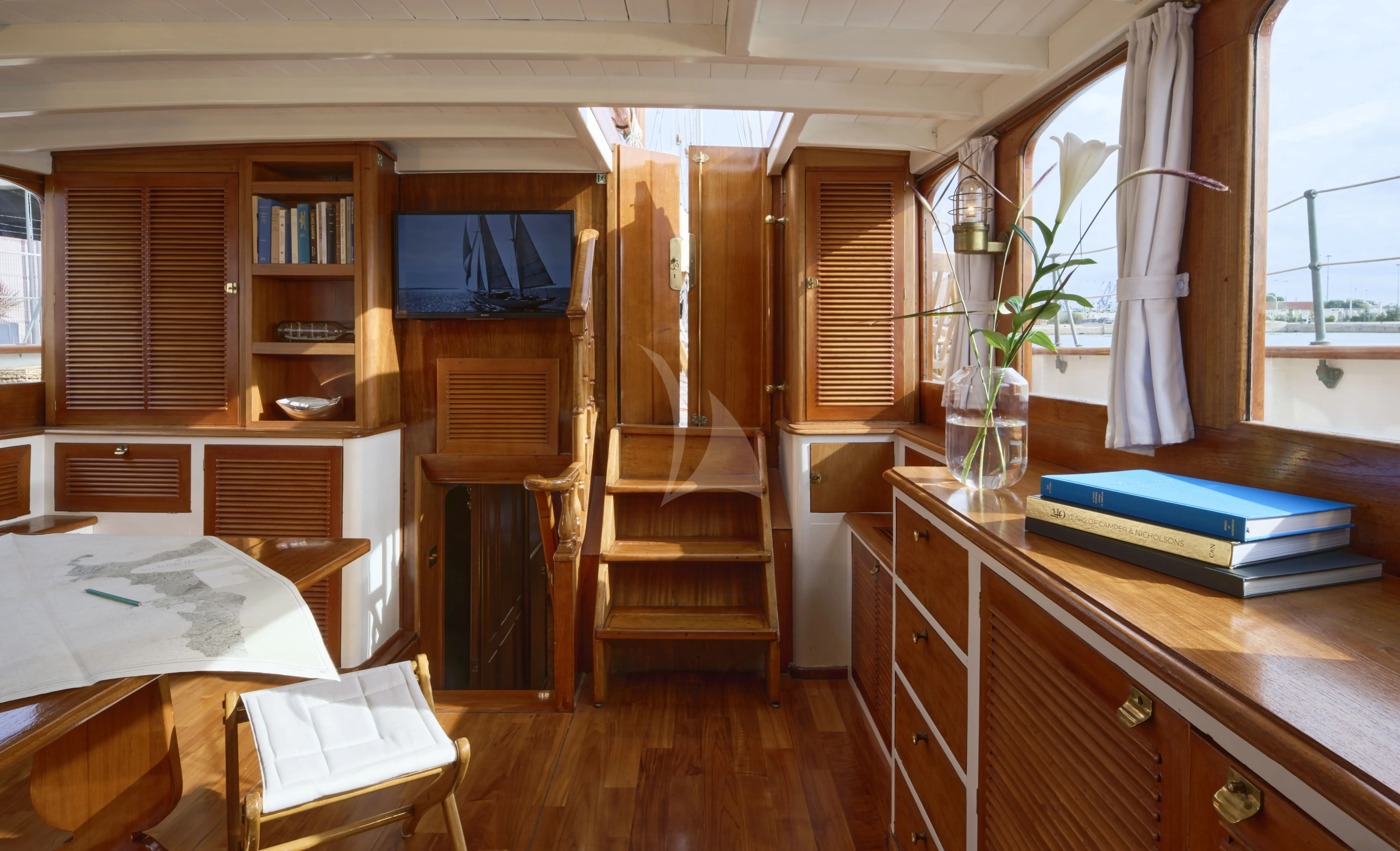 Black Swan - photo 1