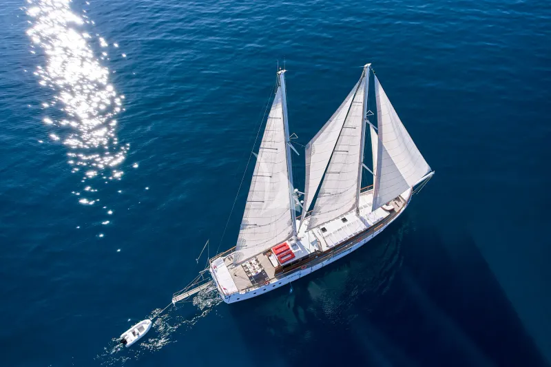 WHITE PEARL - exterior 2