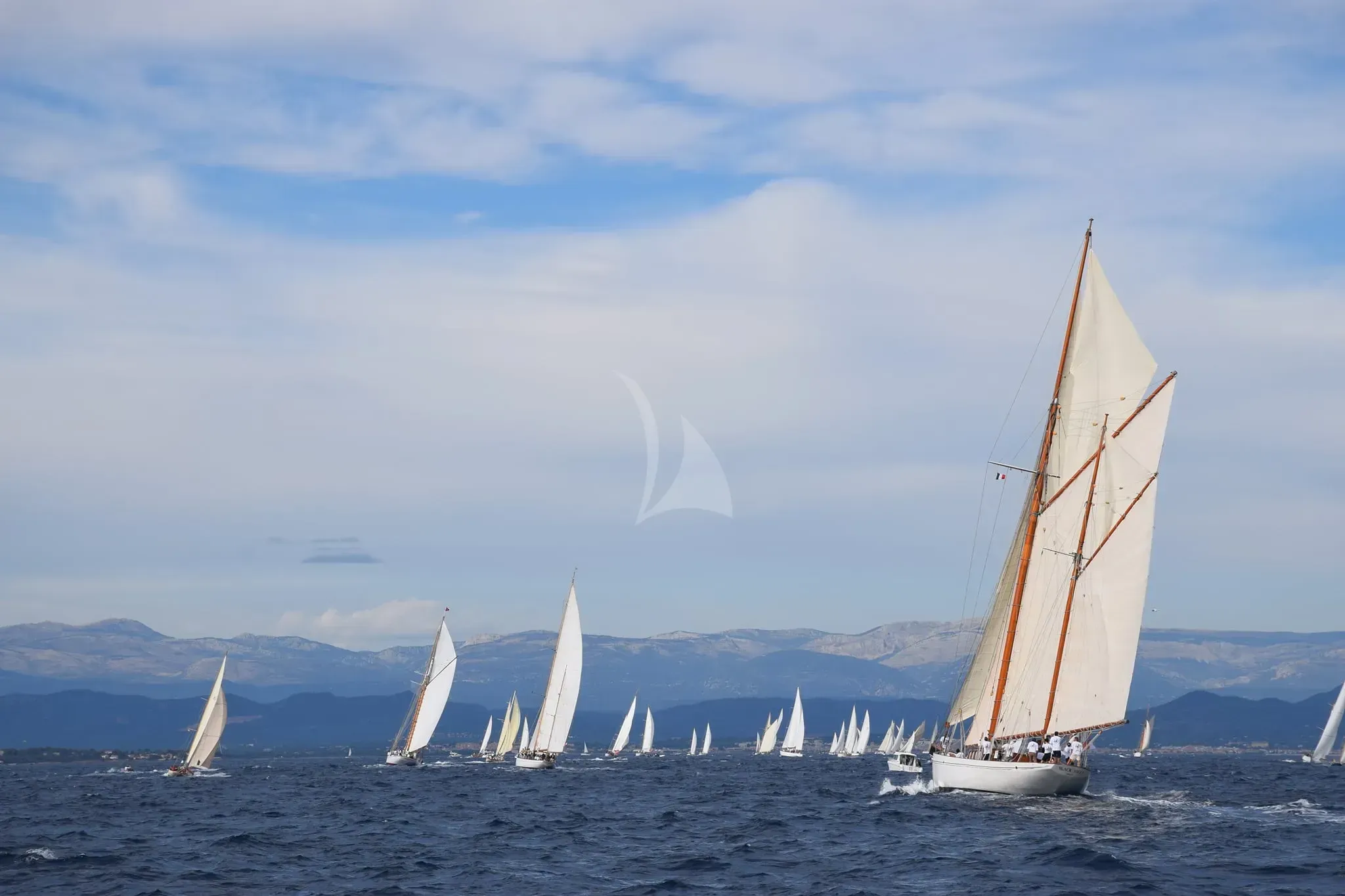 Black Swan - photo 12